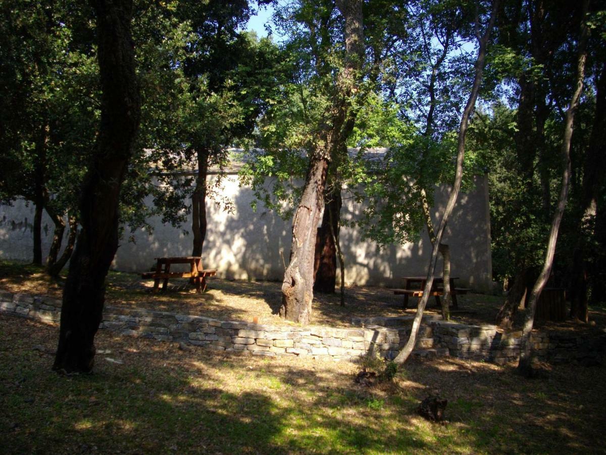 Sole E Ventu 50Qm Lägenhet San-Giovanni-di-Moriani Exteriör bild